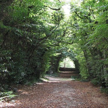 Château de Couëllan