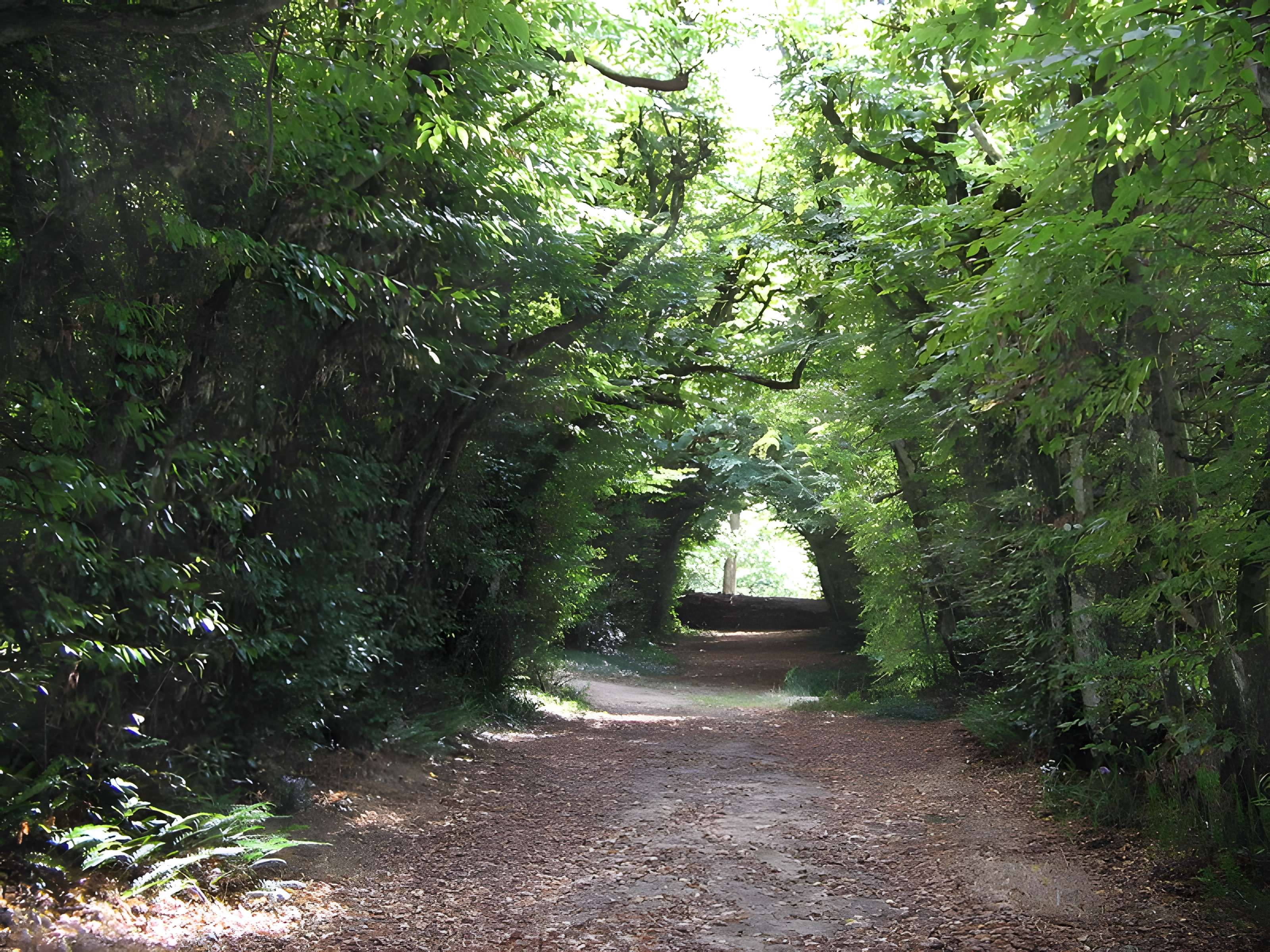 Château de Couëllan