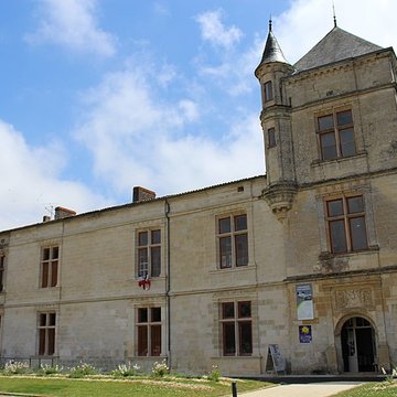 Château de Coulonges-sur-lAutize