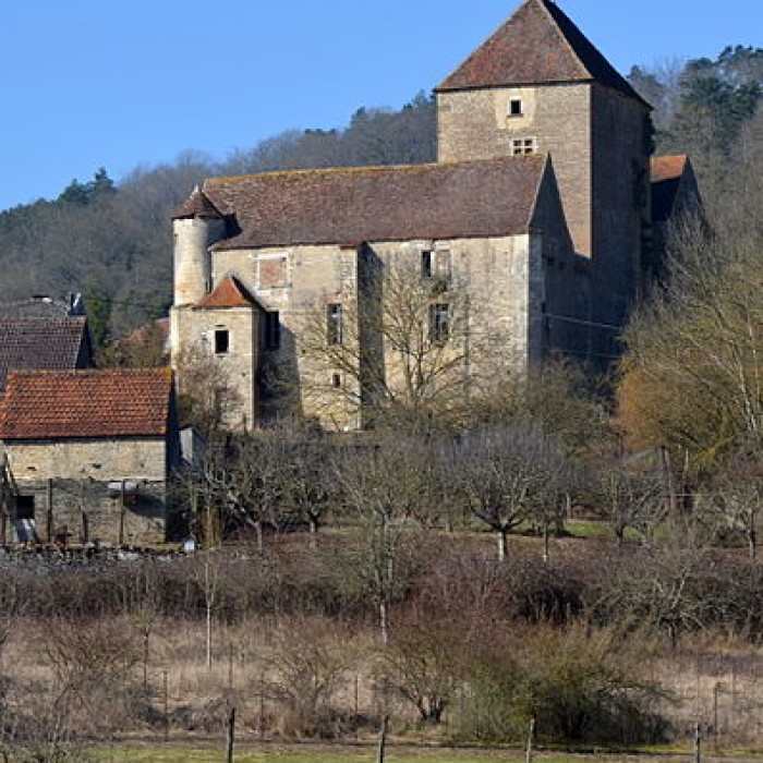 Photo de Château de Courcelles-lès-Montbard