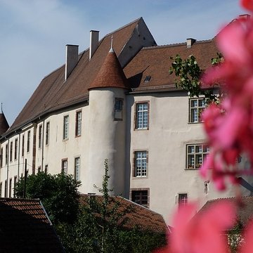 Château de Fénétrange