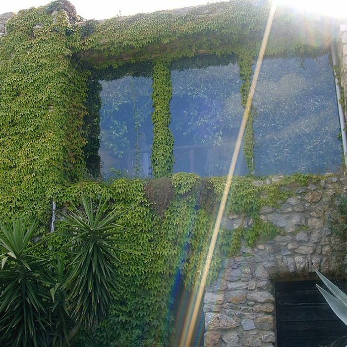 Photo de Château de Fitou