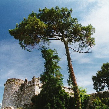 Château de Flamarens