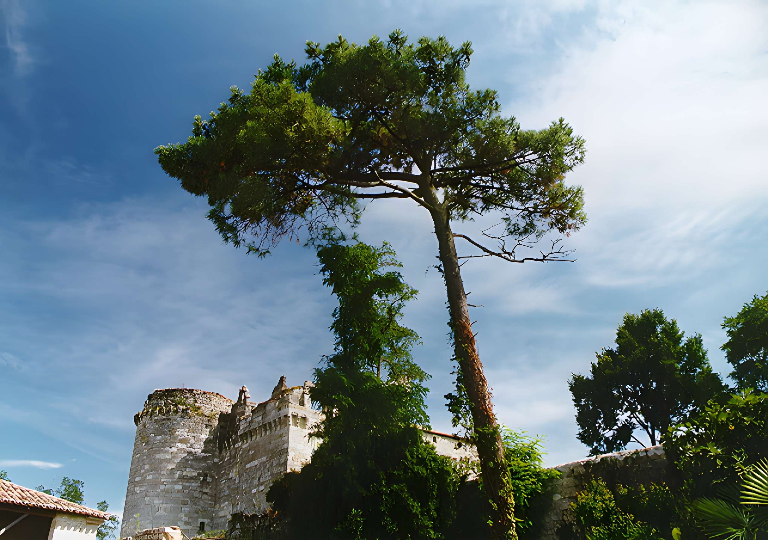 Château de Flamarens