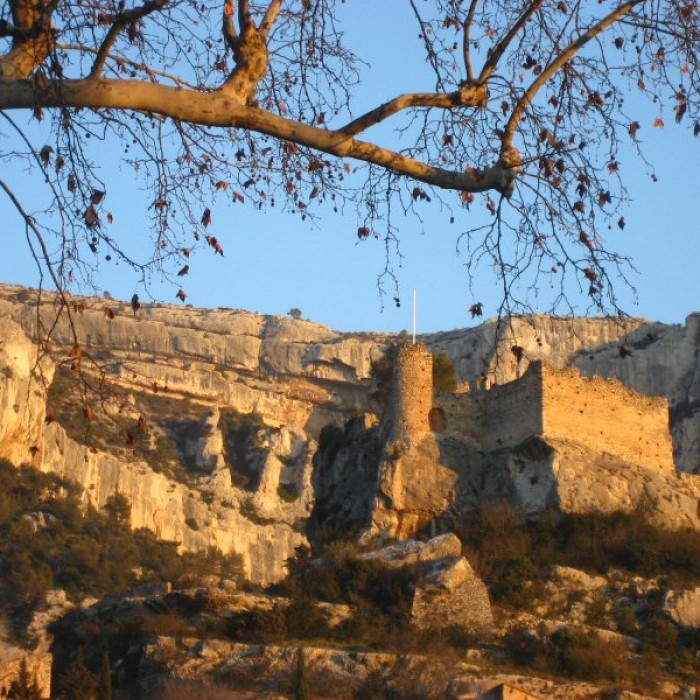 Photo de Château de Fontaine-de-Vaucluse