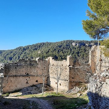 Château de Fontaine-de-Vaucluse