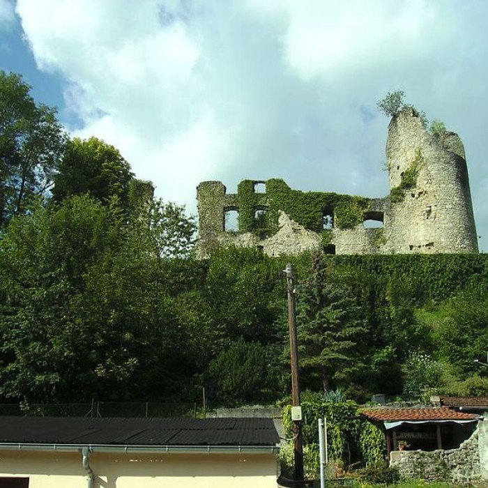 Photo de Château de Frauenberg