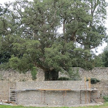 Château de Gonneville