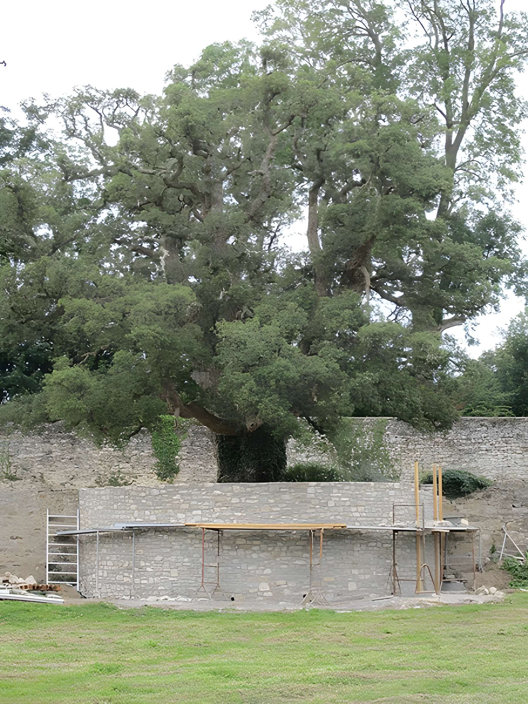 Château de Gonneville