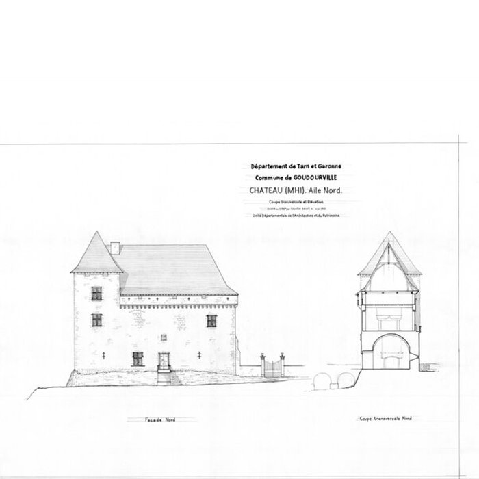 Photo de Château de Goudourville