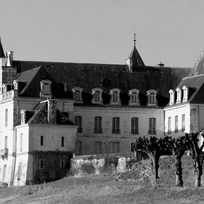 Photo de Château de Grillemont
