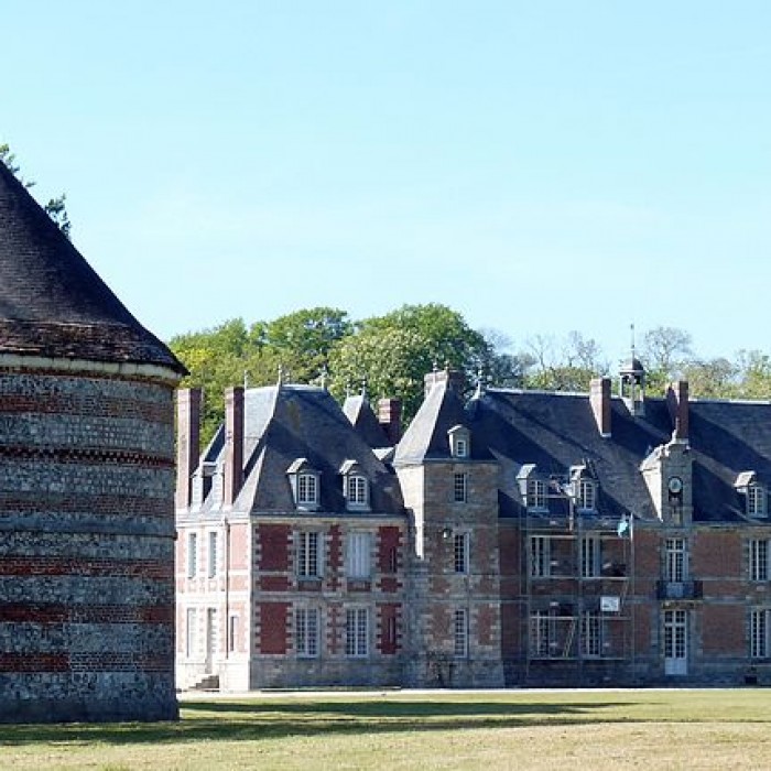 Photo de Château de Janville