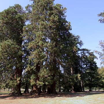 Château de la Brosse à Farges-Allichamps