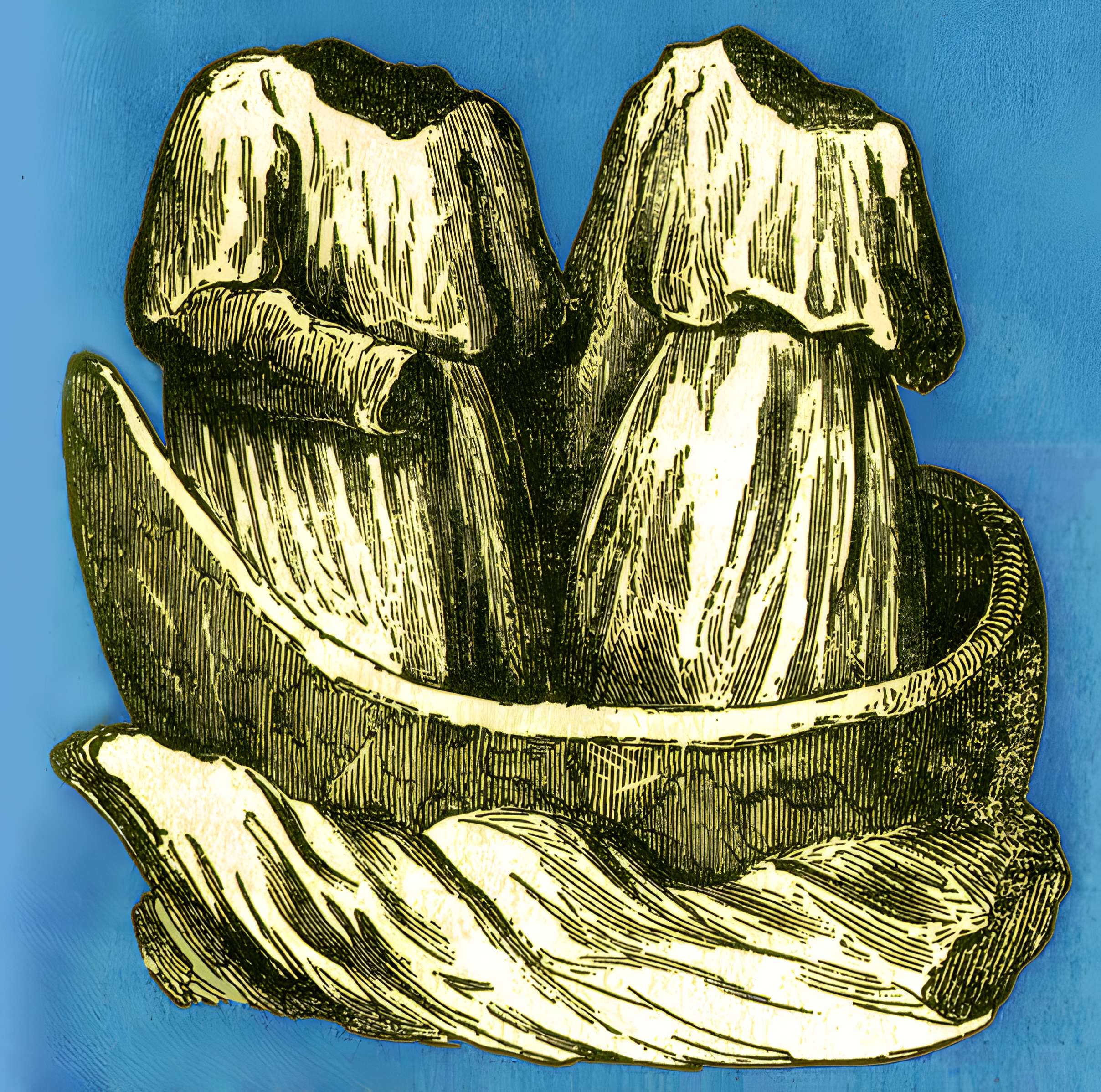 Église de Notre-Dame-de-la-Mer des Saintes-Maries-de-la-Mer