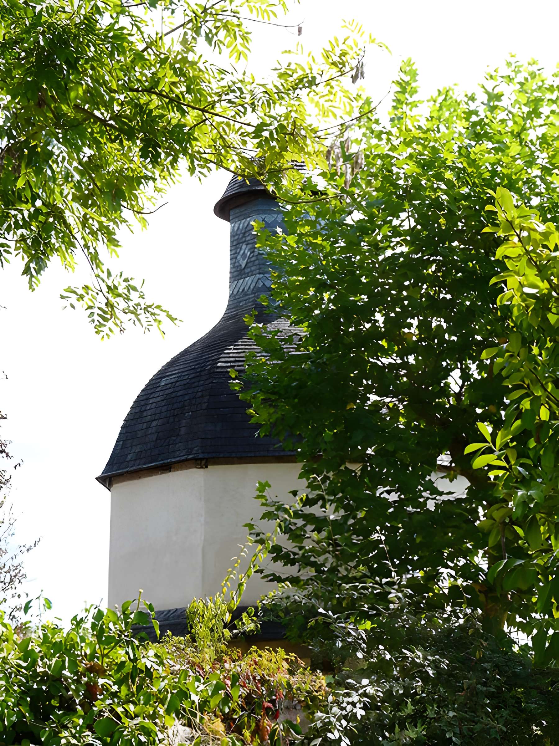 Château de la Chapoulie