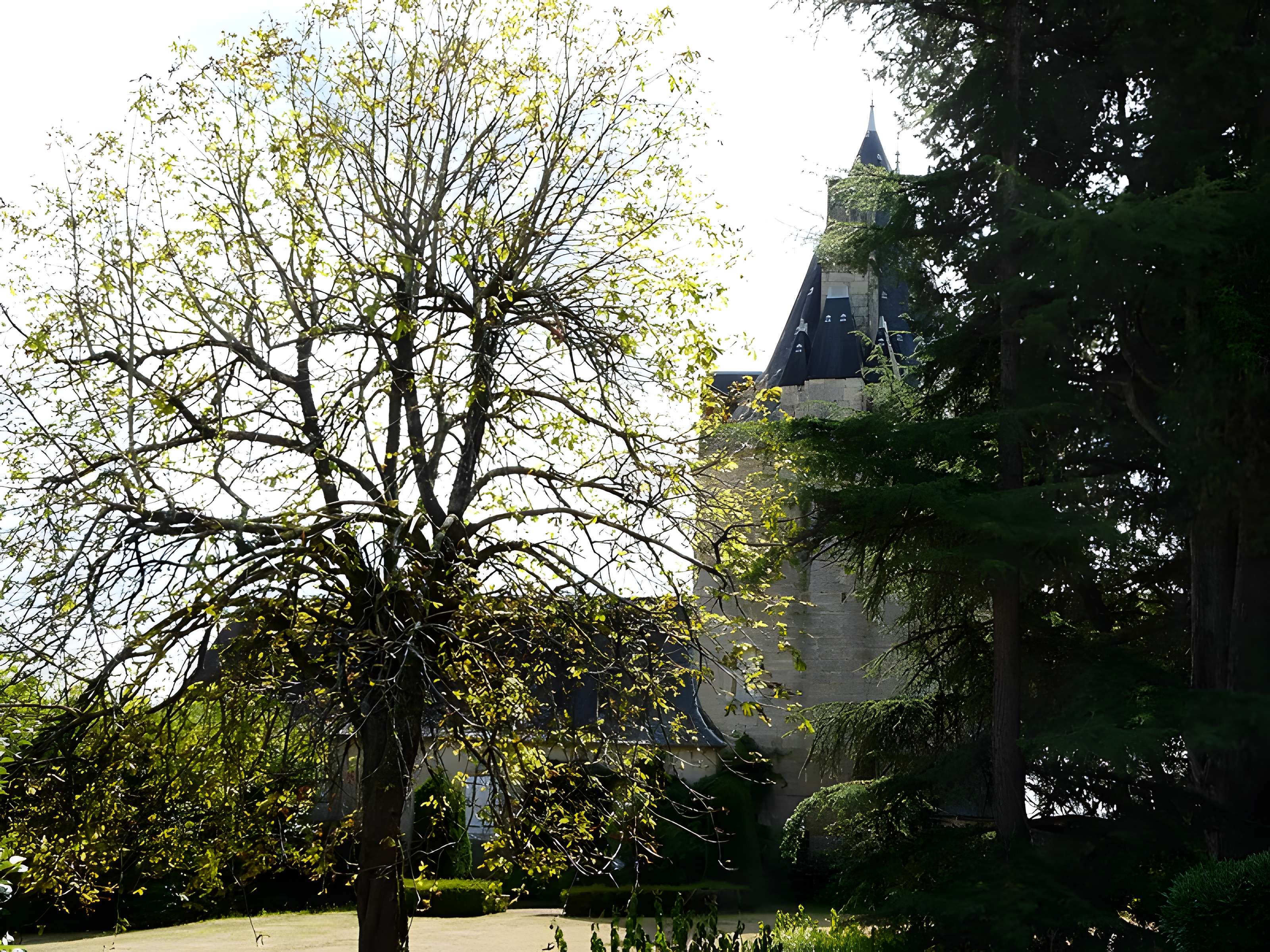 Château de la Chapoulie