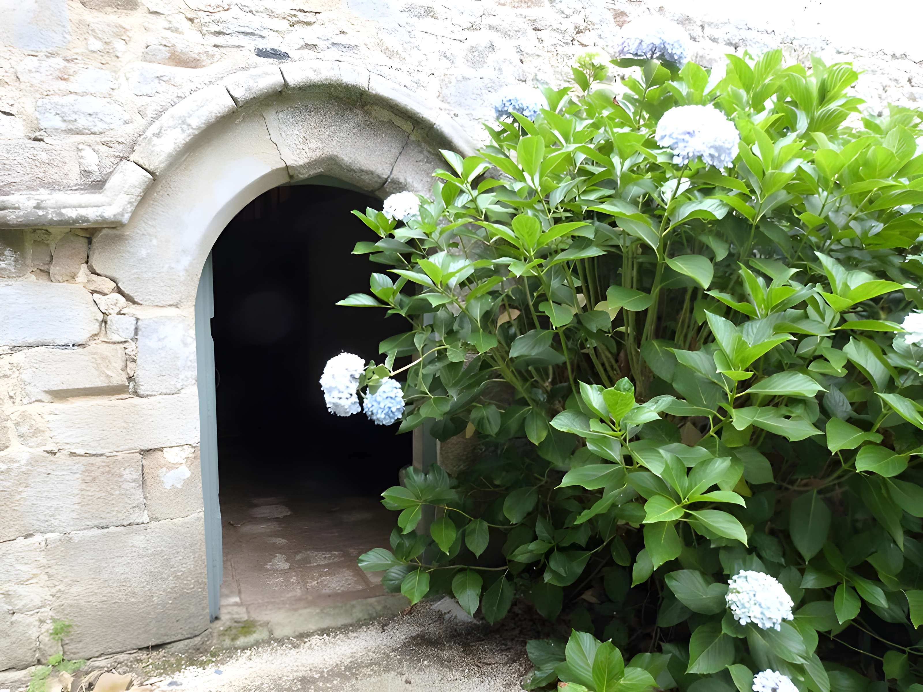 Château de la Houssaye