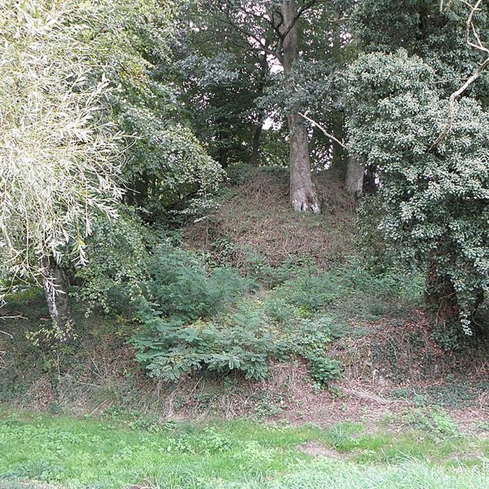 Photo de Château de Saint-Brice, dit autrefois château de la Motte
