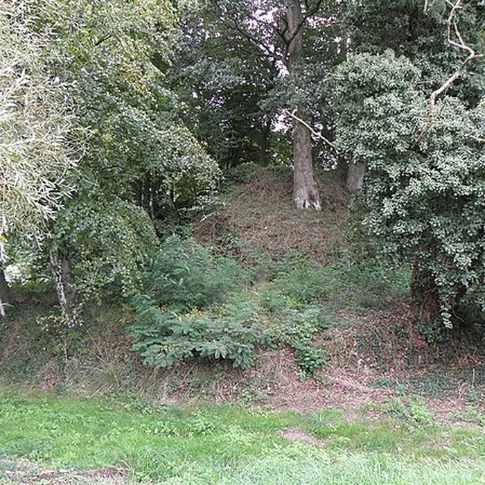 Photo de Château de Saint-Brice, dit autrefois château de la Motte