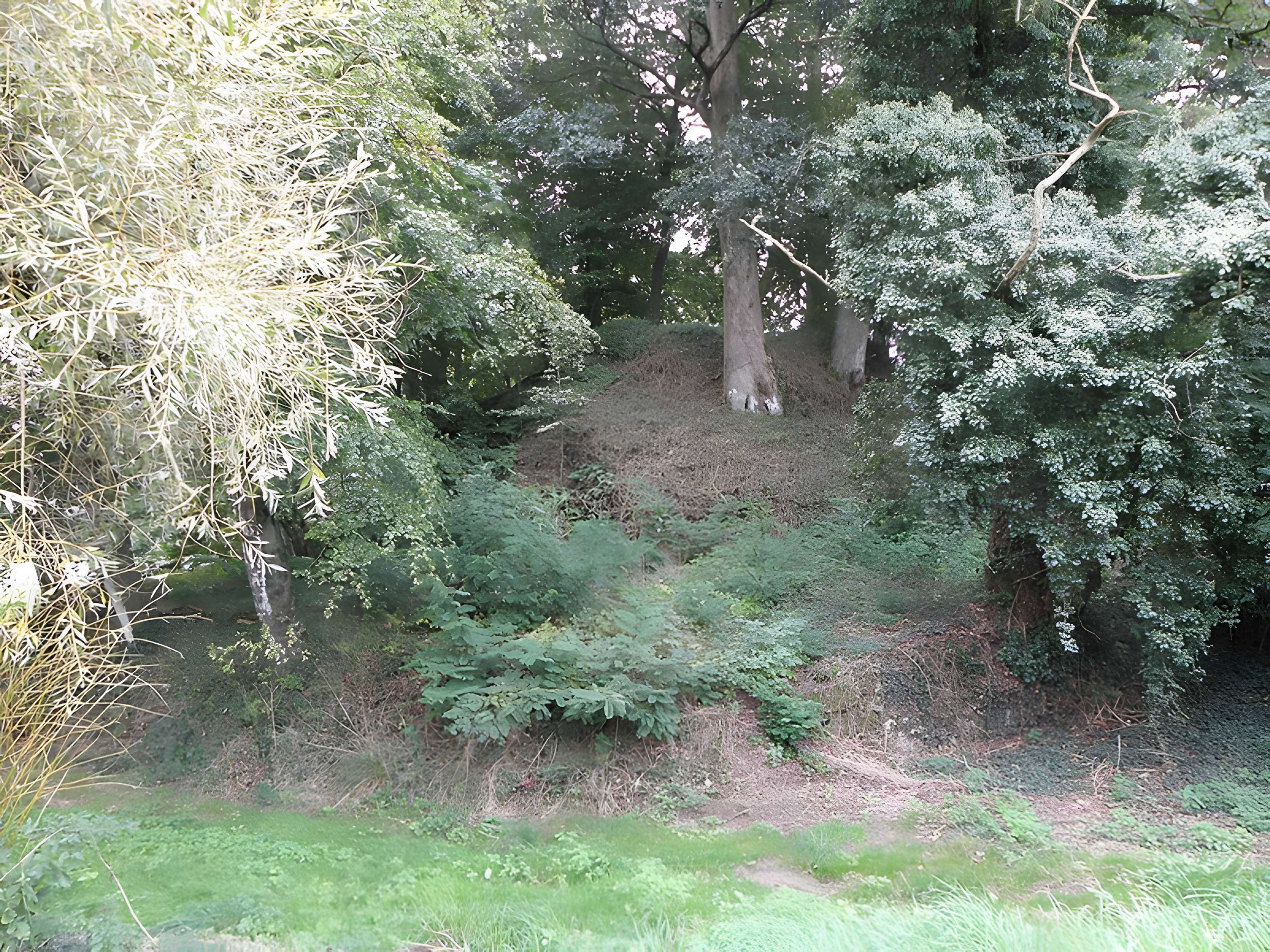 Château de Saint-Brice, dit autrefois château de la Motte