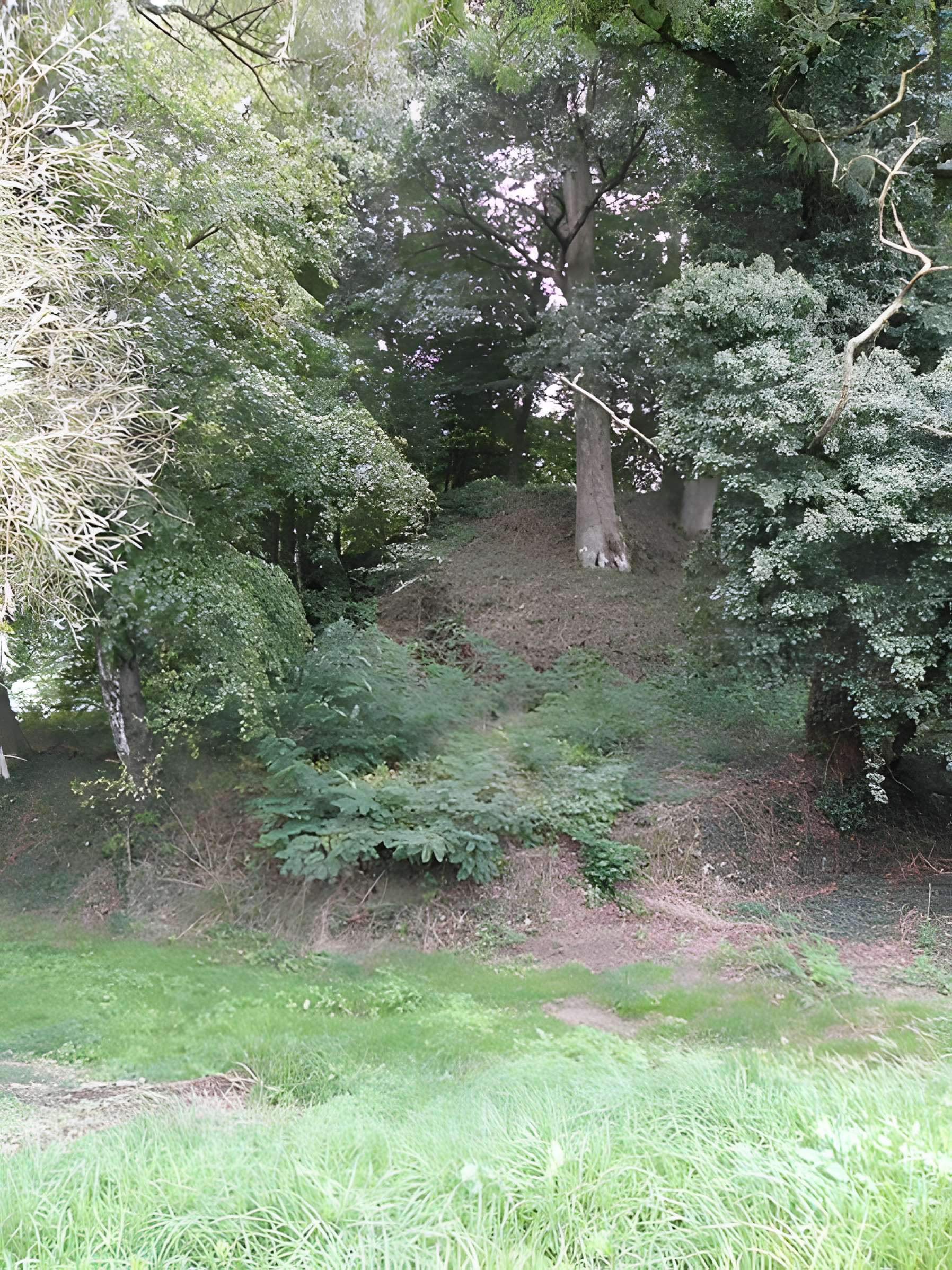 Château de Saint-Brice, dit autrefois château de la Motte