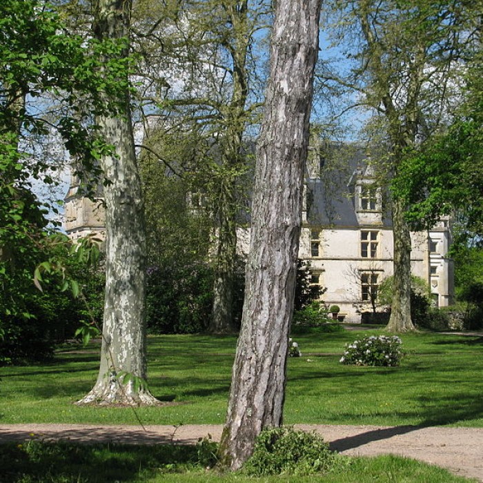 Photo de Château de la Motte-Farchat