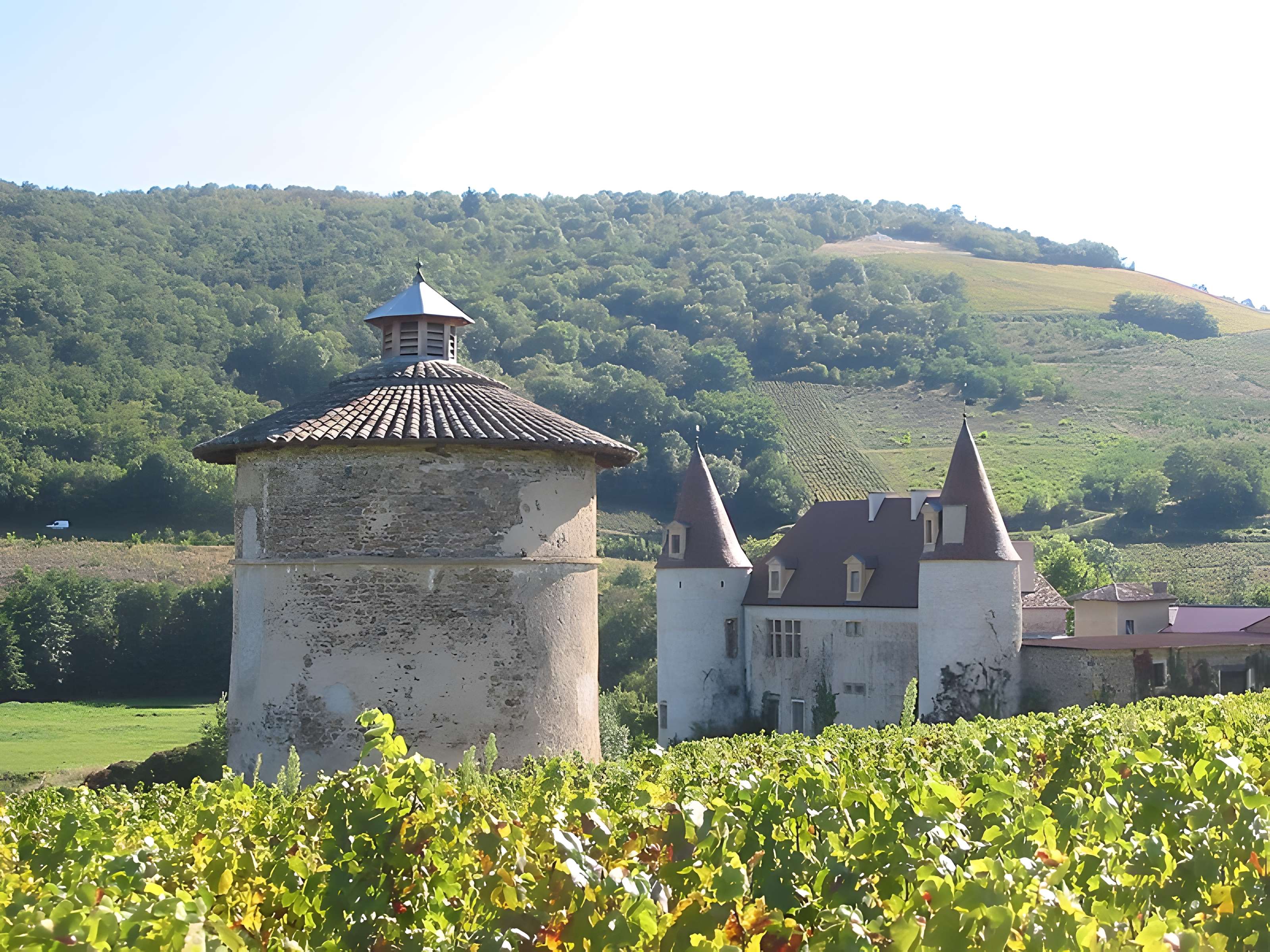 Château de La Palud