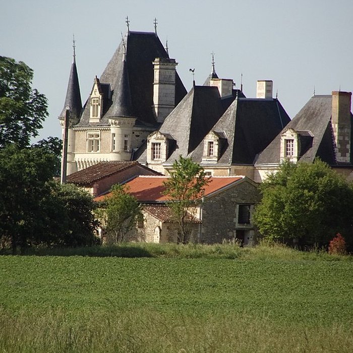 Photo de Château de la Pataudière