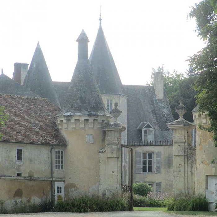 Photo de Château de la Pellonière