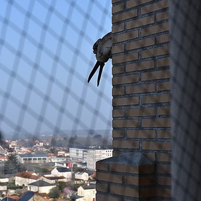 Photo de Église du Sacré-Coeur de Cholet