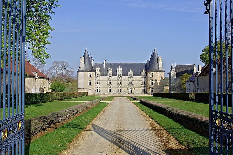 Photo de Château de la Roche-Gençay