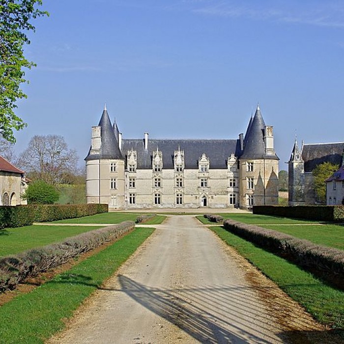 Photo de Château de la Roche-Gençay