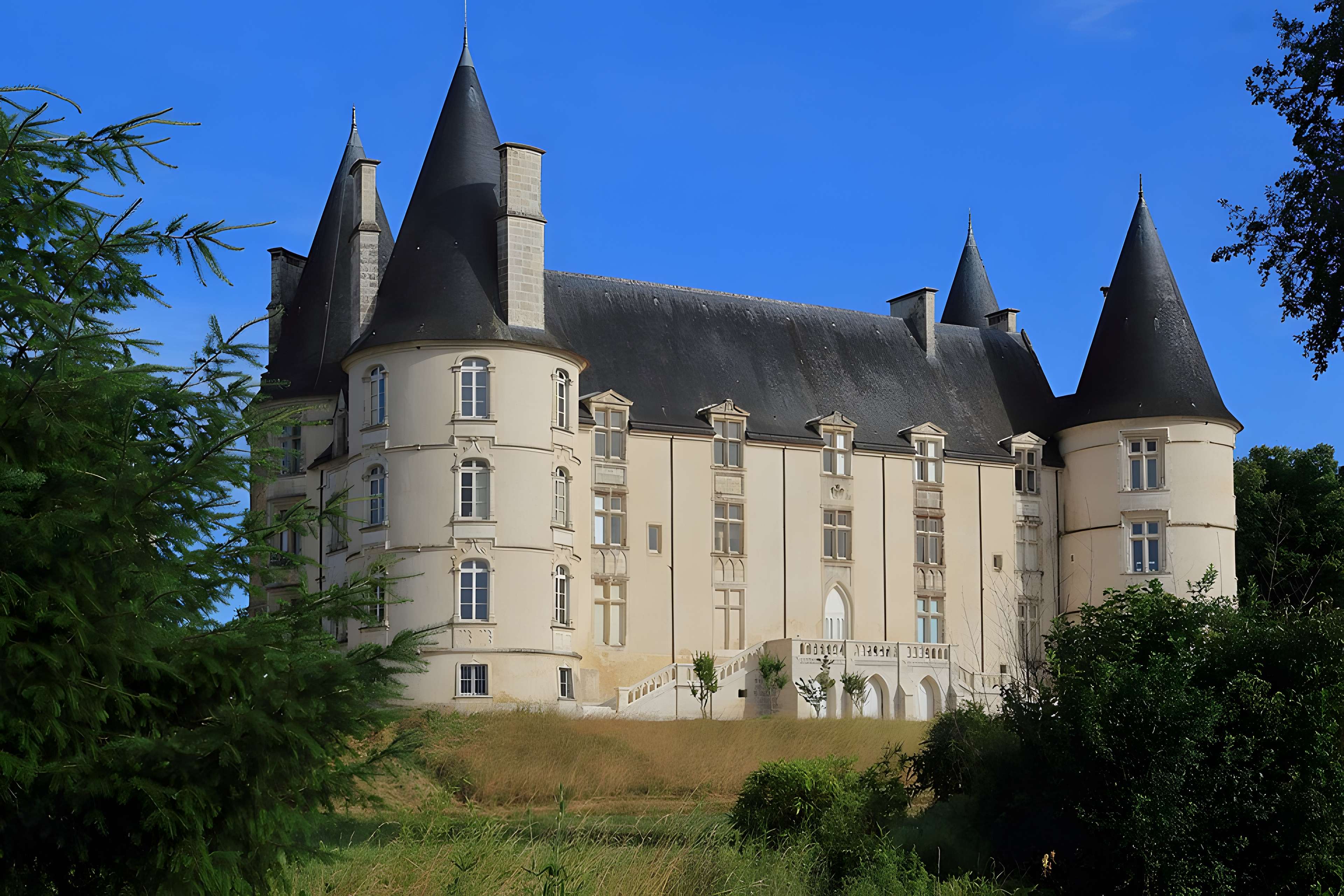 Château de la Roche-Gençay