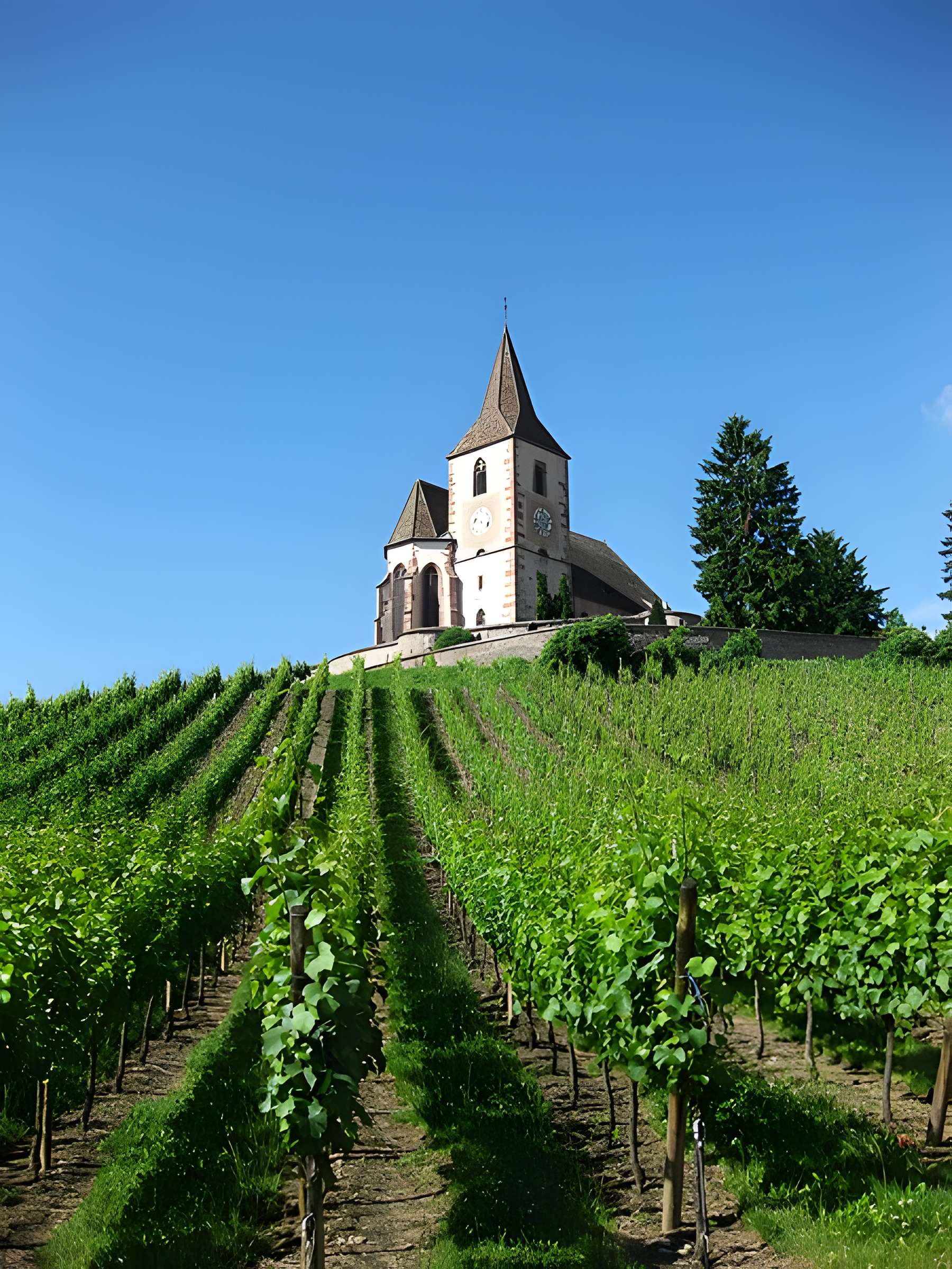 Église mixte Saint-Jacques-le-Majeur de Hunawihr 