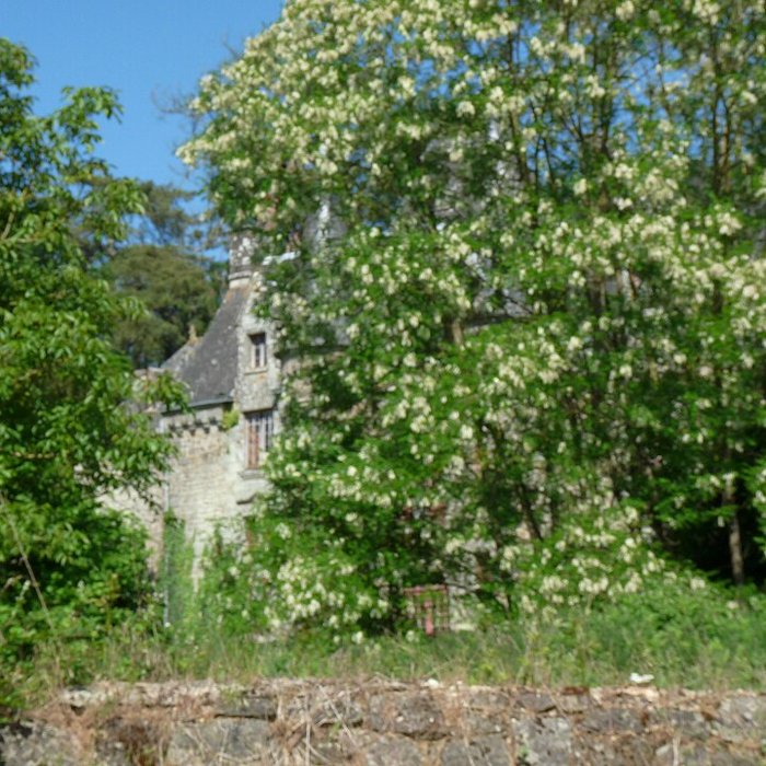 Photo de Château de Lanrigan