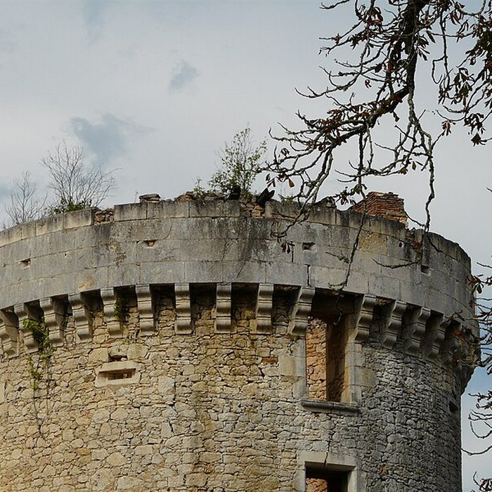 Photo de Château de Laxion