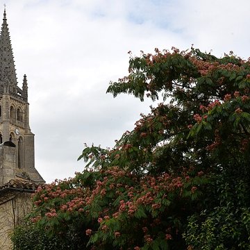Église monolithe de Saint-Émilion