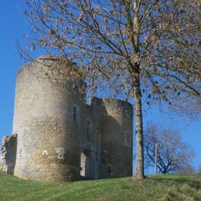 Photo de Vestiges du château