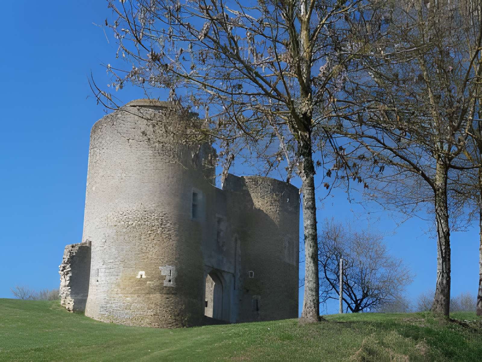 Vestiges du château