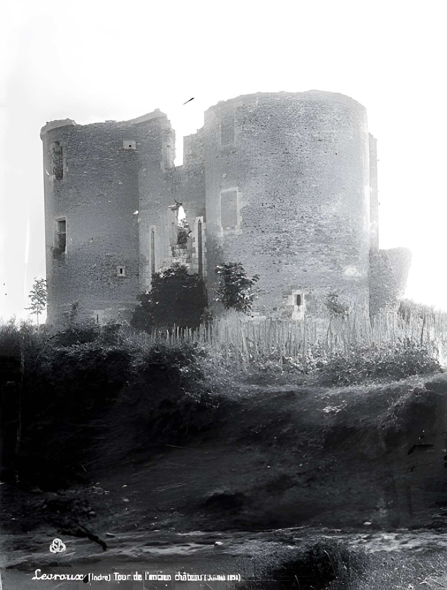 Vestiges du château