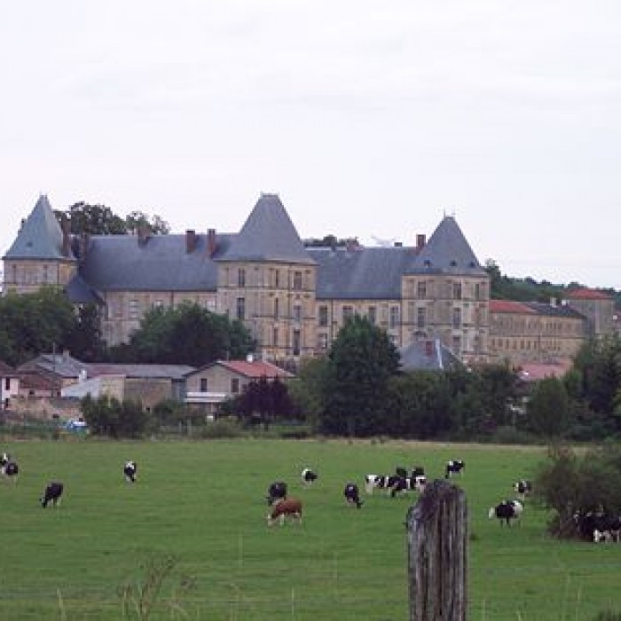Photo de Château de Louppy sur Loison