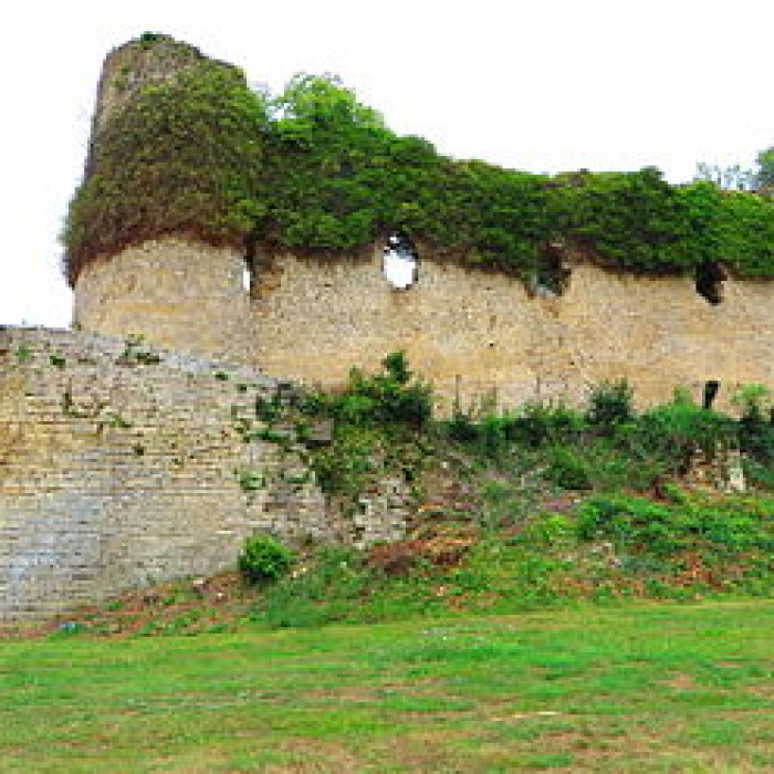 Photo de Château de Louppy sur Loison
