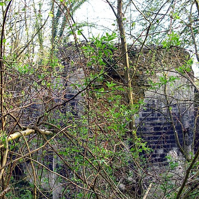 Photo de Château de Lucheux