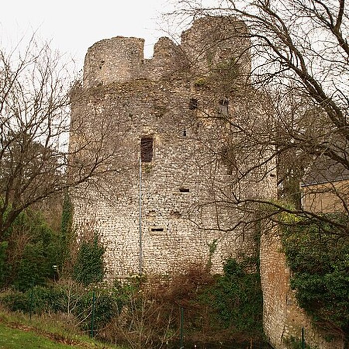 Photo de Château de Lys-Saint-Georges