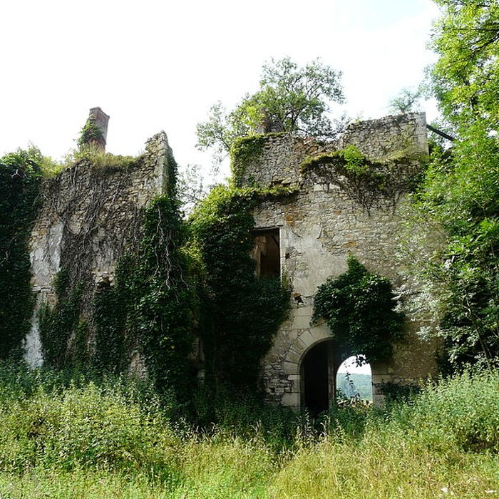 Photo de Vestiges du château de Marqueyssac à Saint-Pantaly-dAns