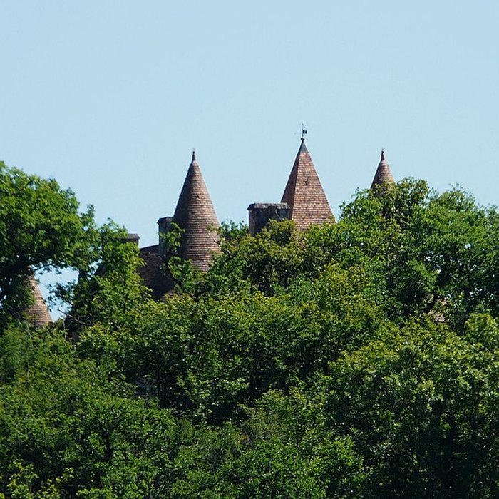 Photo de Château de Marzac