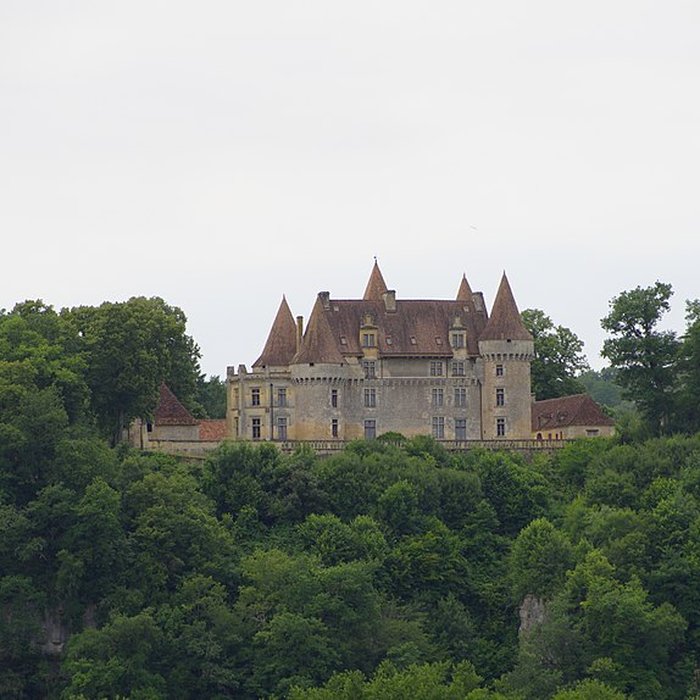 Photo de Château de Marzac
