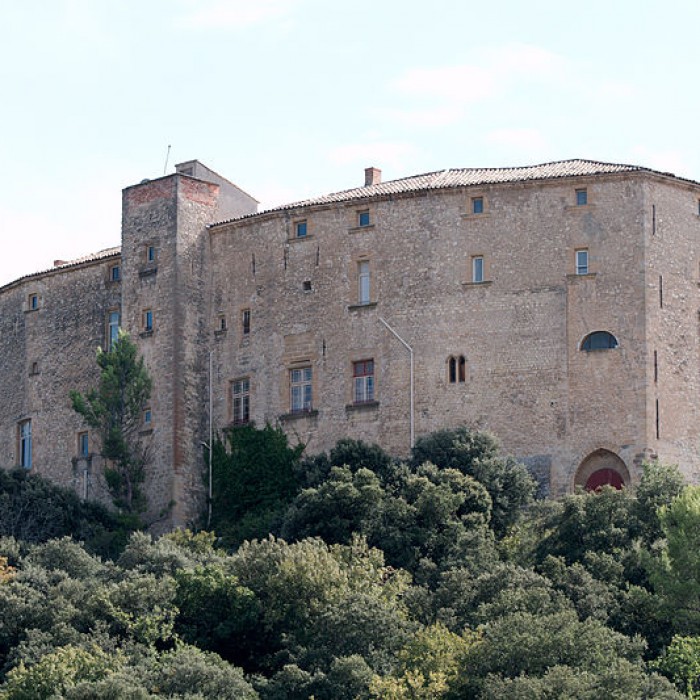 Photo de Château de Meyrargues