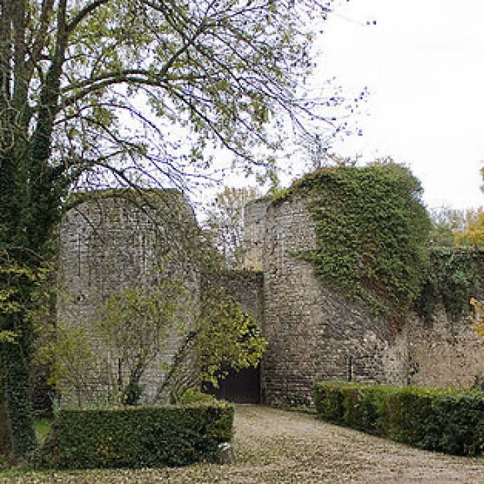 Photo de Château de Mez-le-Maréchal