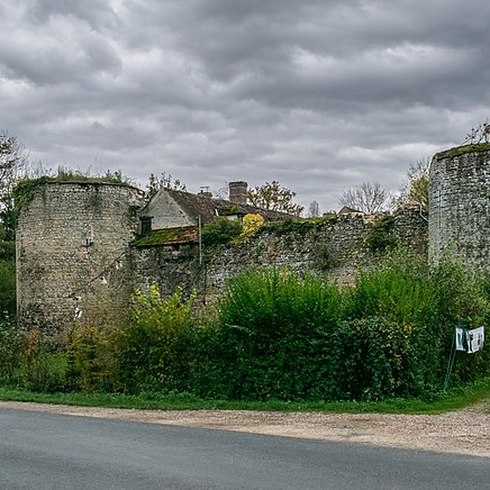 Photo de Château de Mez-le-Maréchal
